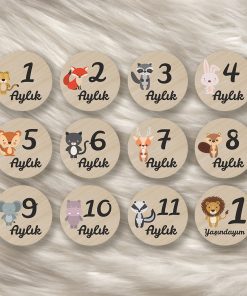 Bebek Fotoğraf Çekim Kartları